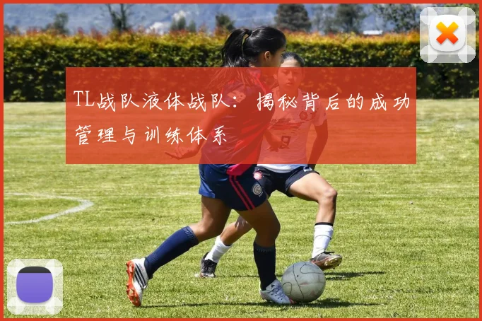 TL战队液体战队：揭秘背后的成功管理与训练体系