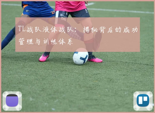 TL战队液体战队：揭秘背后的成功管理与训练体系